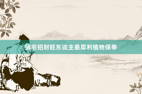 镇宅招财旺东谈主最犀利植物保举